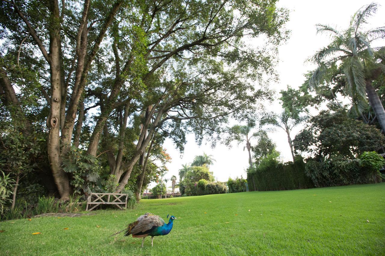 Hotel Jacarandas Cuernavaca Exteriér fotografie